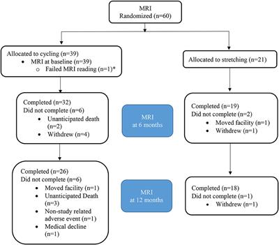 Mechanistic Effects of Aerobic Exercise in Alzheimer's Disease: Imaging Findings From the Pilot FIT-AD Trial